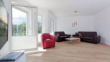 Fernseher, Kamin