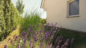 A building with a window and a garden with lavender plants. - New! Modern vacation home for 6 in Heringsdorf, Haus Sand (Heringsdorf)
