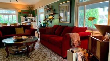 TV, fireplace, books