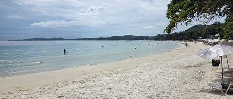 Vista desde la propiedad