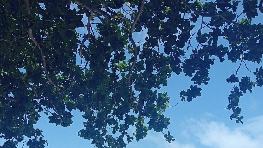 Samed Big Cape Resort