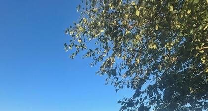 Luxury lakeside lodge with hot tub and sunset views. Pet friendly, 3 bedrooms