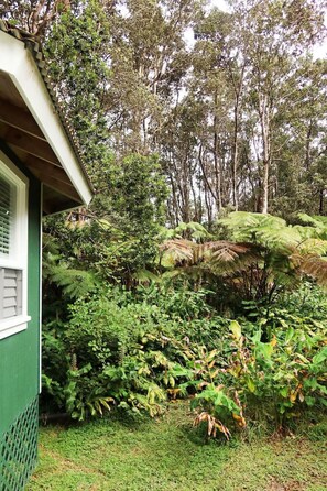 Property grounds - Pueo Cottage Volcano Hawaii (Volcano)