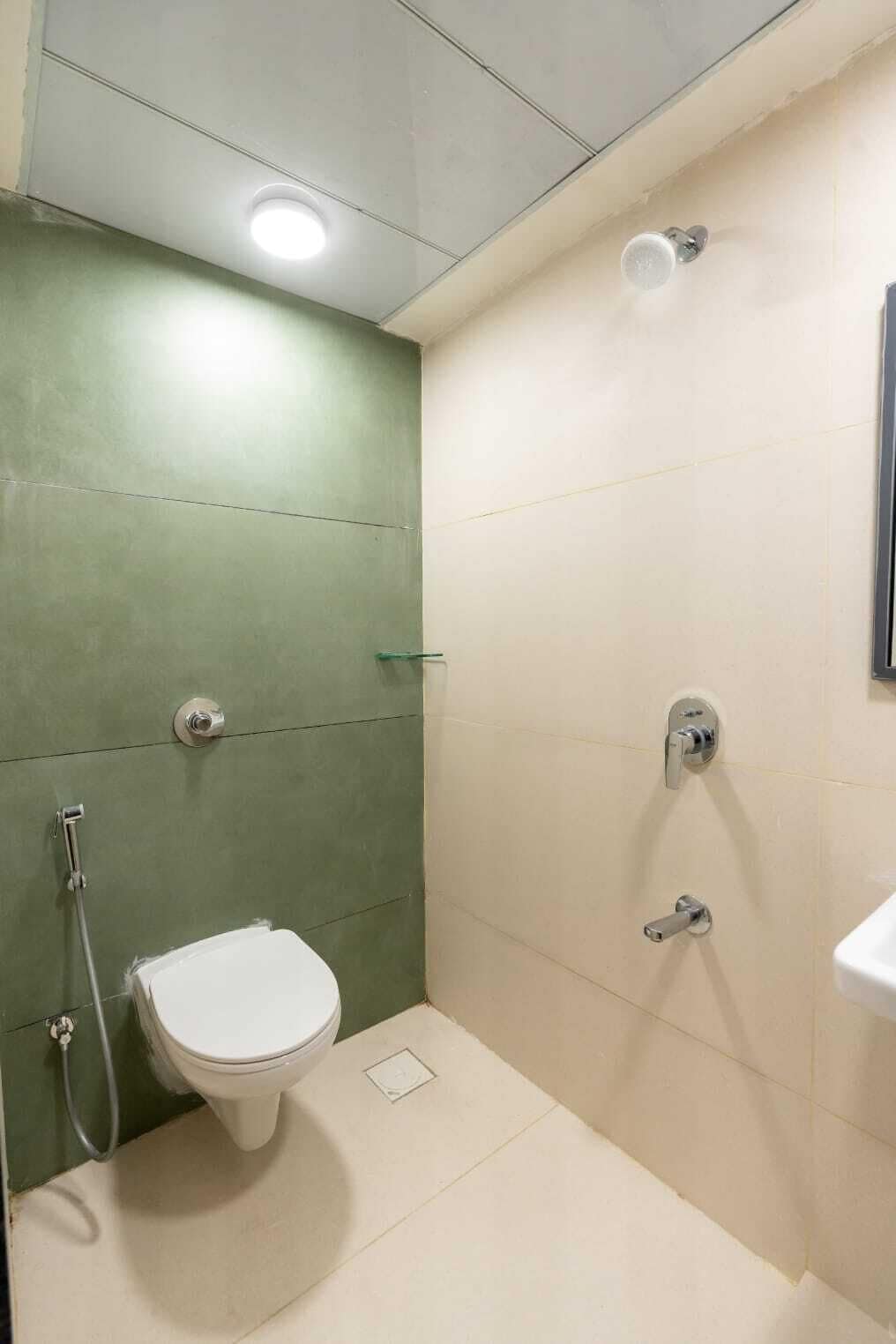 Shower, towels, toilet paper