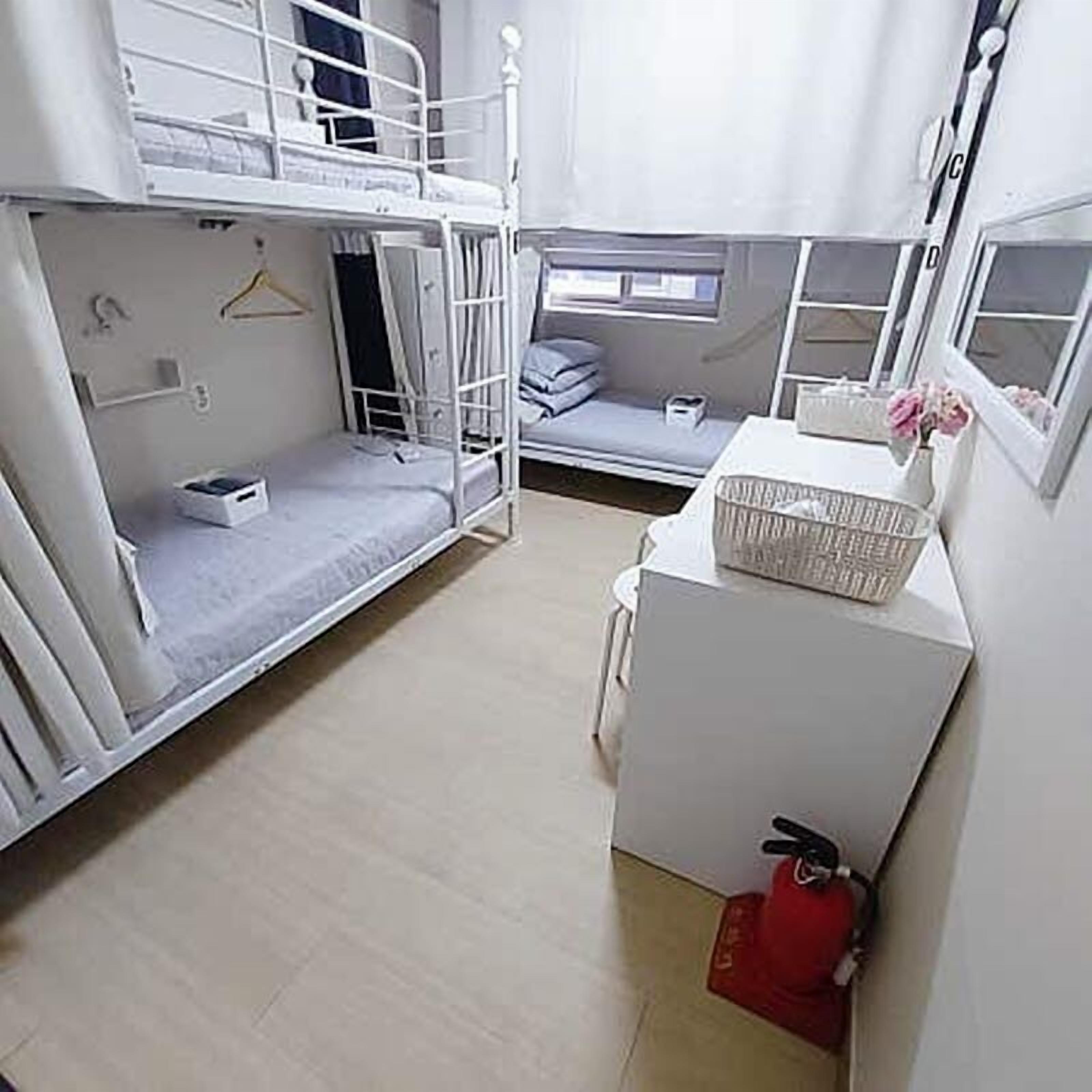 Fælles sovesal - kun mænd - ikke-ryger | Strygejern/strygebræt, gratis Wi-Fi