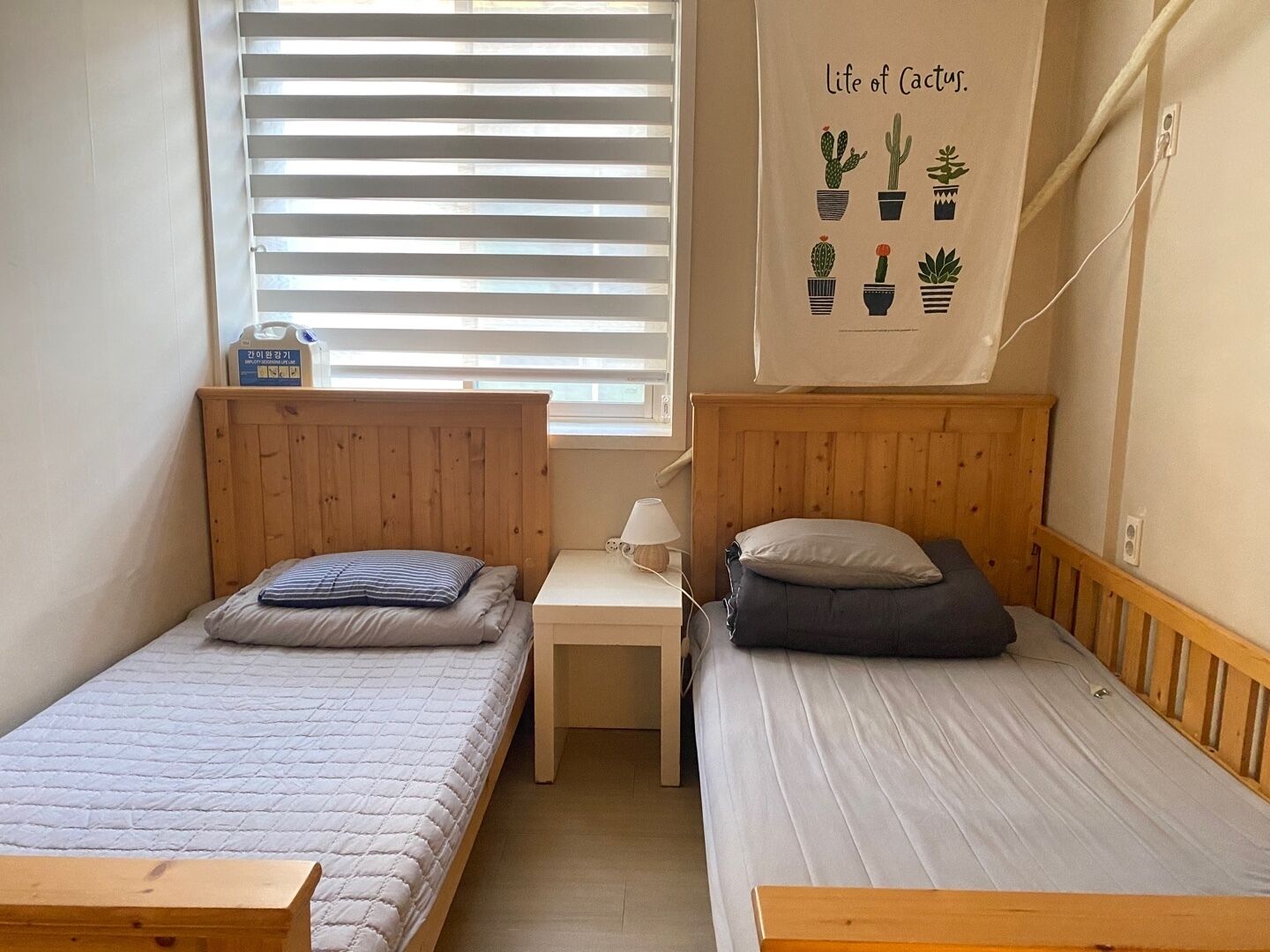 Værelse med 2 enkeltsenge - 2 enkeltsenge - ikke-ryger | Strygejern/strygebræt, gratis Wi-Fi