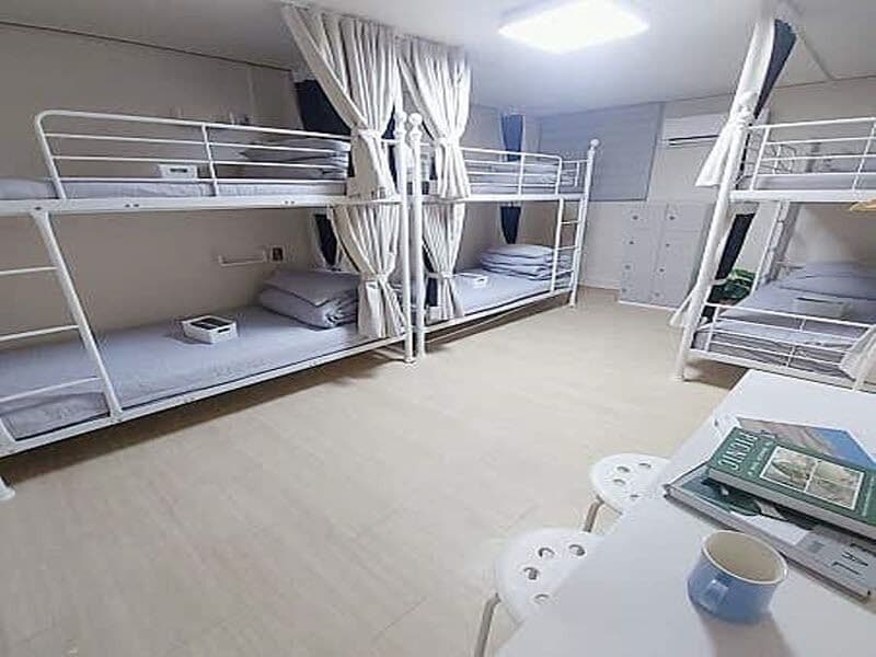 Fælles sovesal - kun kvinder - ikke-ryger | Strygejern/strygebræt, gratis Wi-Fi