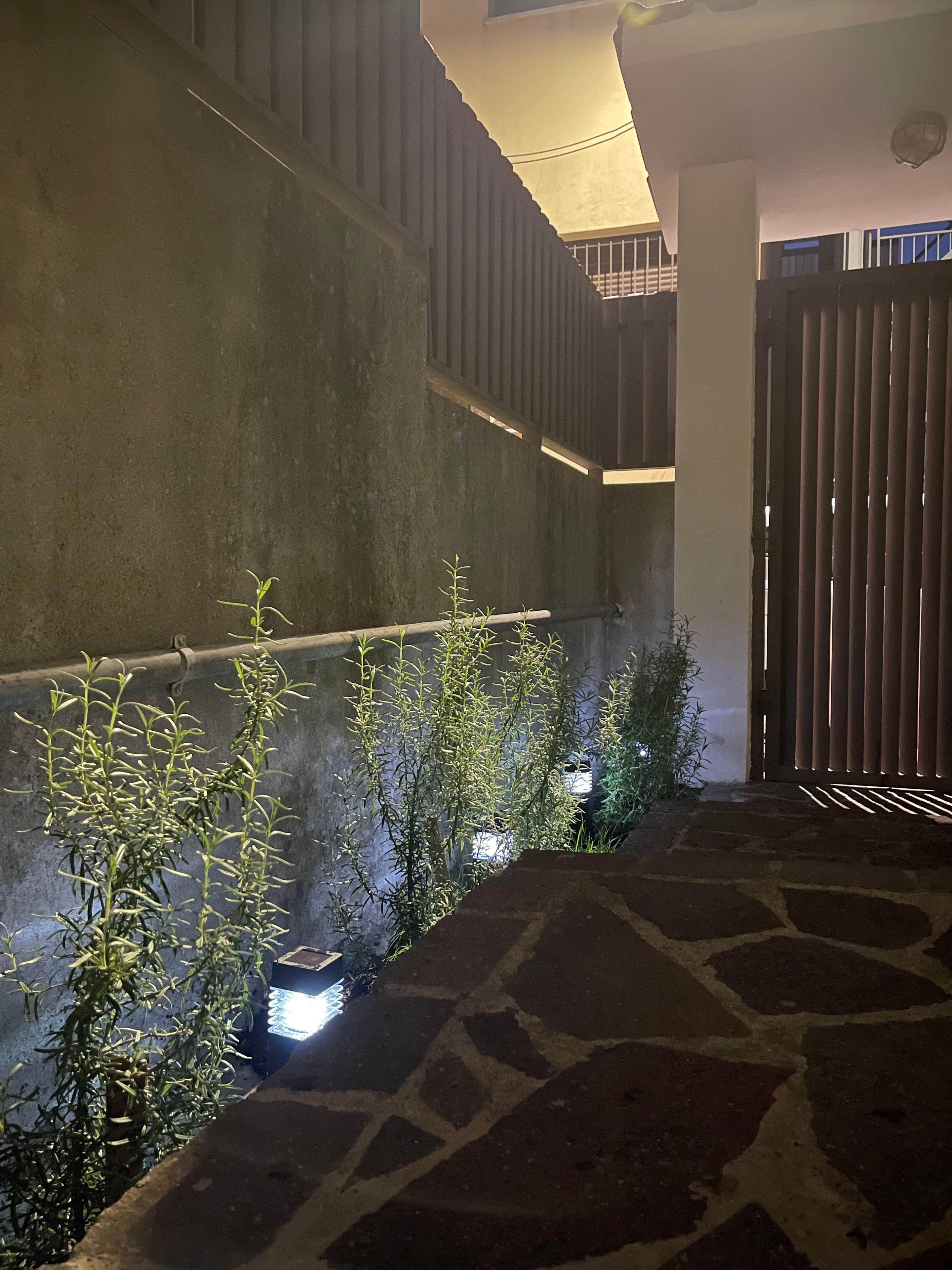 A stone-paved area with a railing and potted plants.