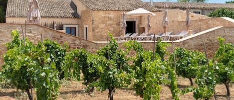 Áreas de la propiedad