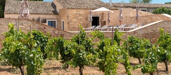 Room 'Vigna Di Pettineo - N5' with Shared Pool, Private Terrace and Air Conditioning