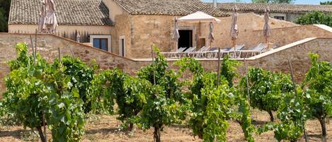 Áreas de la propiedad