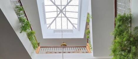 A skylight with a cross pattern, a wooden floor, and green plants.