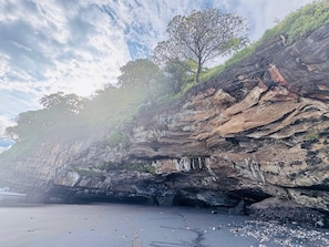 Paisagem costeira com um penhasco rochoso, uma árvore e uma praia.