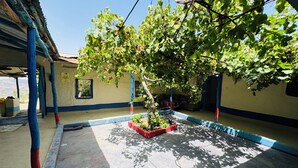 A covered outdoor area with a tree, a concrete floor, and a building with blue and white walls. - Dar diafa Jennane (Zoumi)