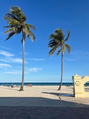 A beach with palm trees, a clear sky, and a paved walkway. - Paradise Studio in Hollywood Beach (Hollywood)