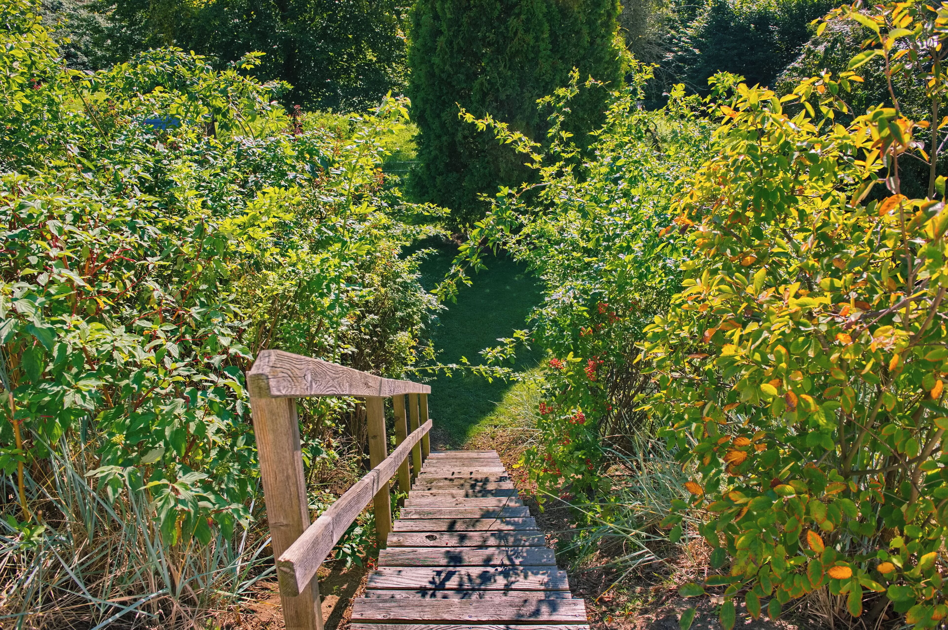 Parco della struttura