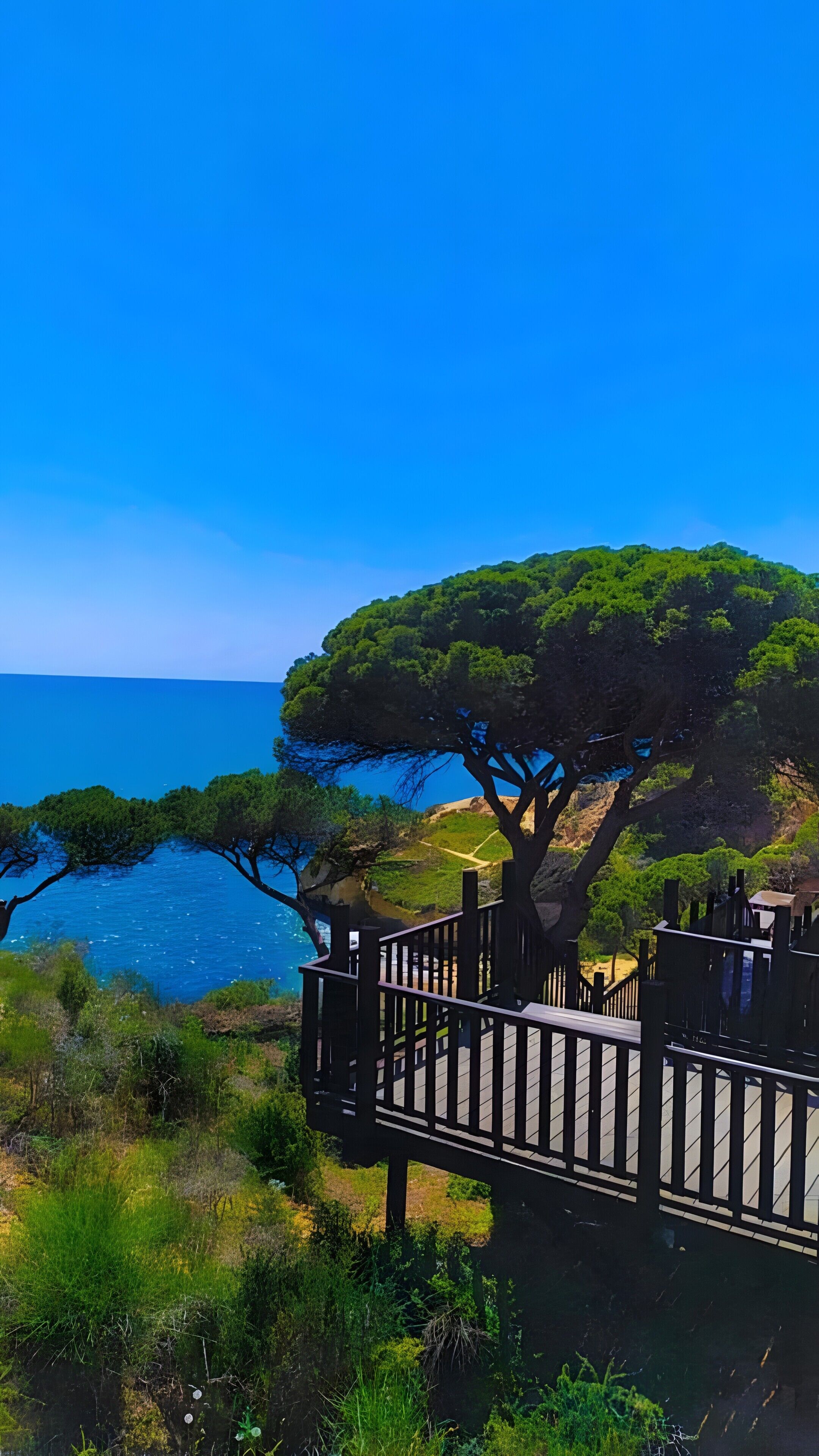 Vista costeira com uma árvore grande, um deck de madeira e um céu azul límpido.