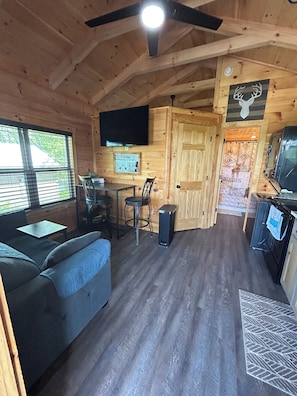 TV - Tiny cabin with river and mountain views in Newport TN. (Newport)