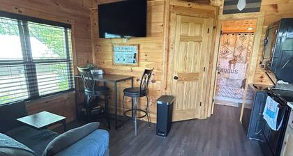 Tiny cabin with river and mountain views in Newport TN.