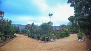 A dirt road leading to a building surrounded by lush greenery and trees. - Hoyjiifka Holale Resort (Moyale)