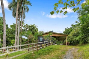 Property grounds - Vagones del Rio - River Access (Rincón)