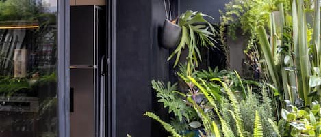A modern building with a glass door entrance, a black wall, and a variety of indoor plants.