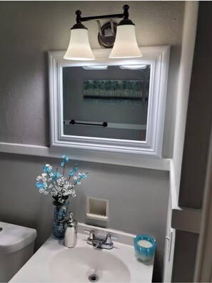 Hair dryer, towels, soap, toilet paper