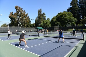 Sports court - Private In-Law Suite with Kitchenette in Sunnyvale next to Park (Sunnyvale)