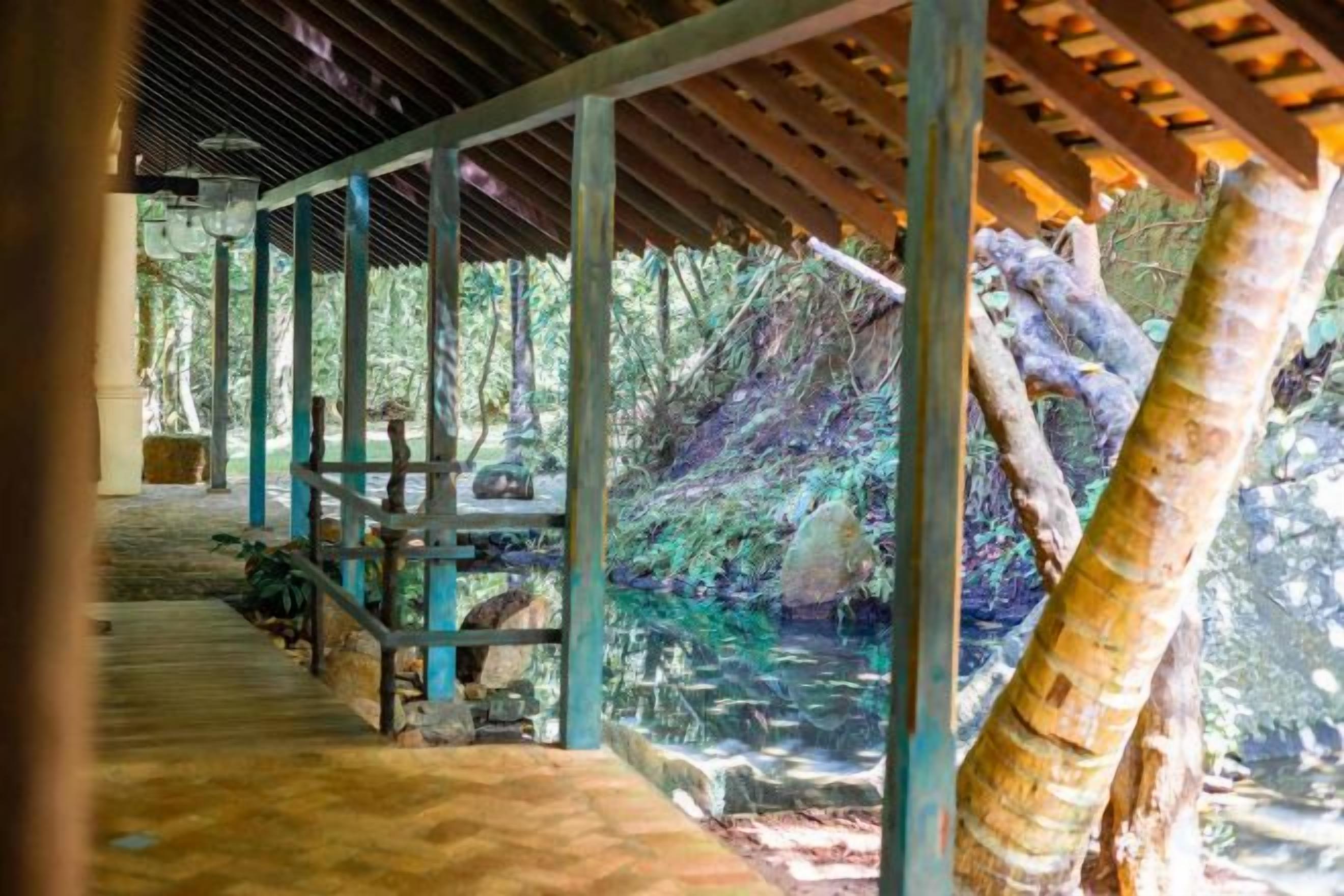 A covered outdoor area with a stone pathway leading to a seating area, surrounded by trees and a small water feature.