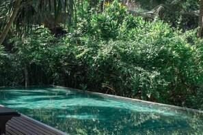 A clear swimming pool surrounded by dense tropical foliage. - Sama Retreats (Galle)