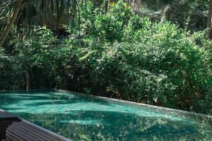 Una piscina cristalina rodeada de exuberante follaje tropical.