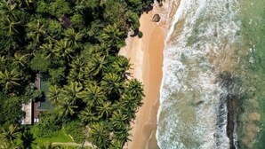 An aerial view of a beach with dense palm trees and a sandy shore. - Sama Retreats (Galle)