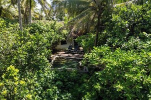 Un exuberante jardín tropical con una piscina pequeña y un espacio para sentarse.
