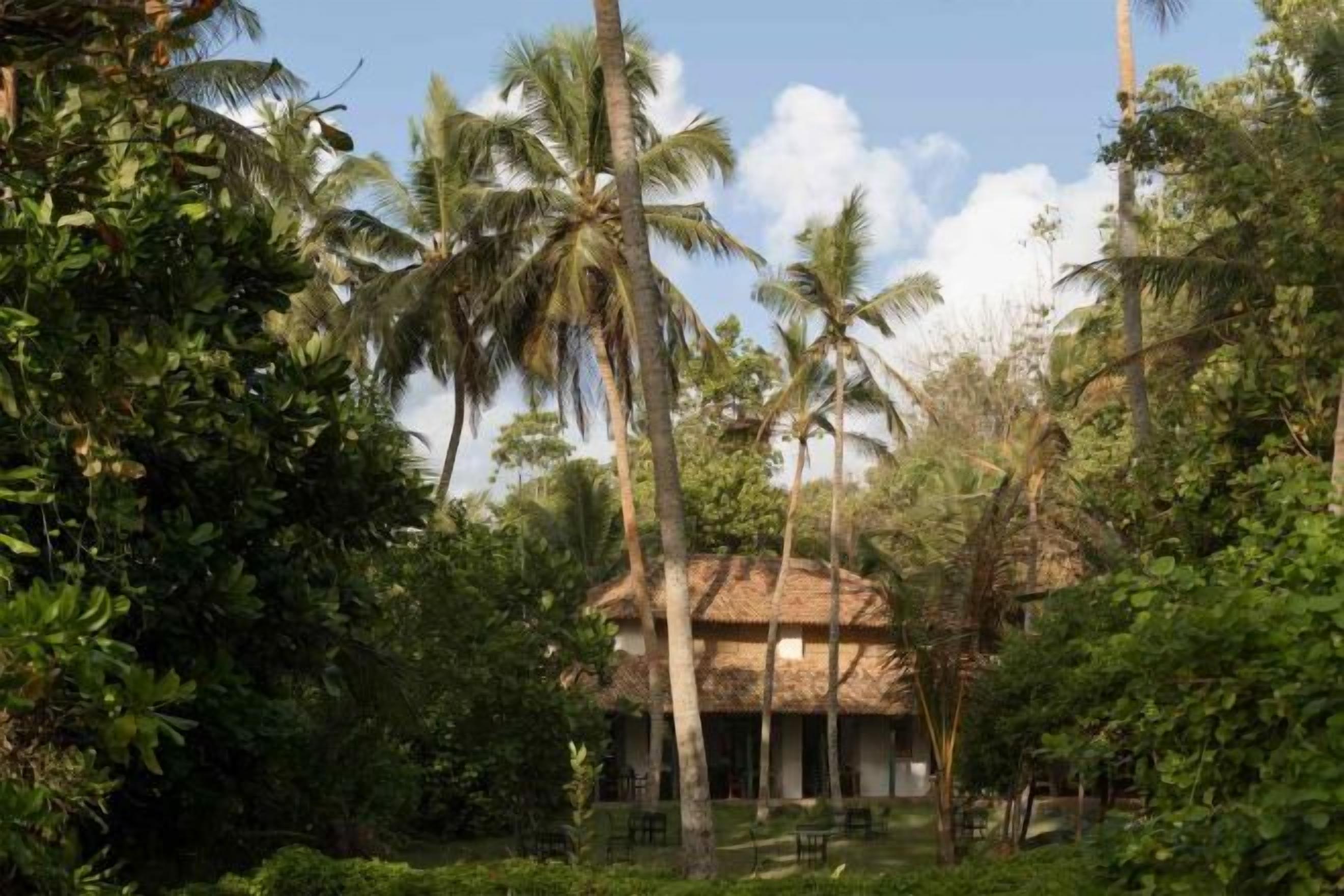 A thatched-roof building surrounded by dense tropical vegetation.