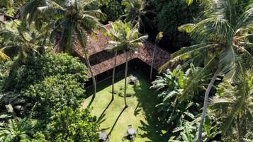 A tropical resort with a thatched-roof structure surrounded by palm trees and lush greenery.