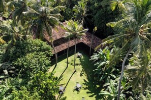 A tropical resort with a thatched-roof structure surrounded by palm trees and lush greenery. - Sama Retreats (Galle)