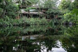 Un edificio tradicional reflejado en aguas tranquilas, rodeado de vegetación densa.