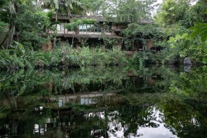 Un edificio tradicional reflejado en aguas tranquilas, rodeado de vegetación densa.