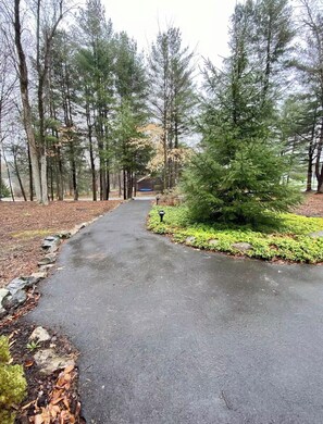 A paved pathway surrounded by trees and a small green area with a lamp post.
