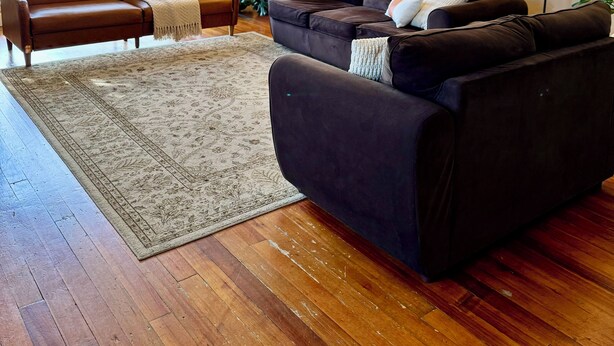 Un salon avec un canapé en cuir marron, un fauteuil marron, un tapis à motifs et une grande plante.