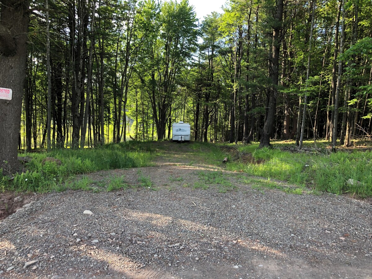 オーナーのプロフィール画像