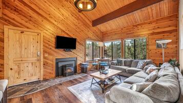 TV, fireplace, books