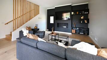 TV connectée, cheminée, livres, chaßne hi-fi