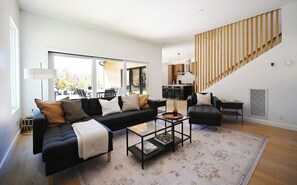 TV connectée, cheminée, livres, chaîne hi-fi