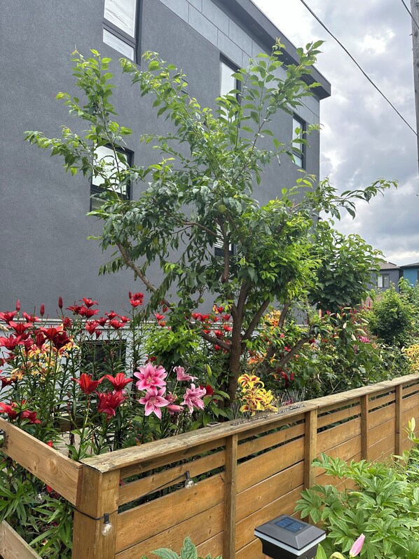 Terrain de lâhĂ©bergement