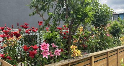 Lower Loft Full Basement Apartment