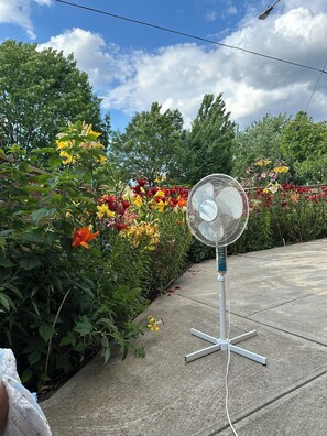 Terrain de lâhĂ©bergement