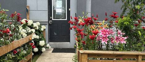 Détail de l’extérieur