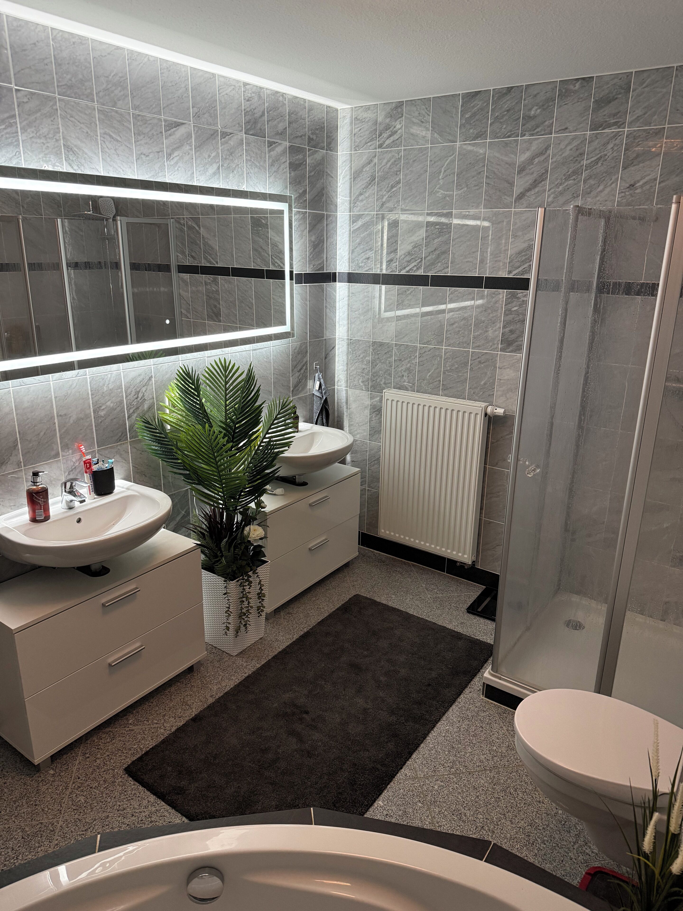 Assecador de cabells, tovalloles, sabó i paper higiènic 