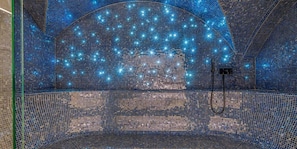 Spa - Chalet, Ground floor, sauna, hammam, terrace, balcony, fireplace or stove, tv, 500m² (Champagny-en-Vanoise)
